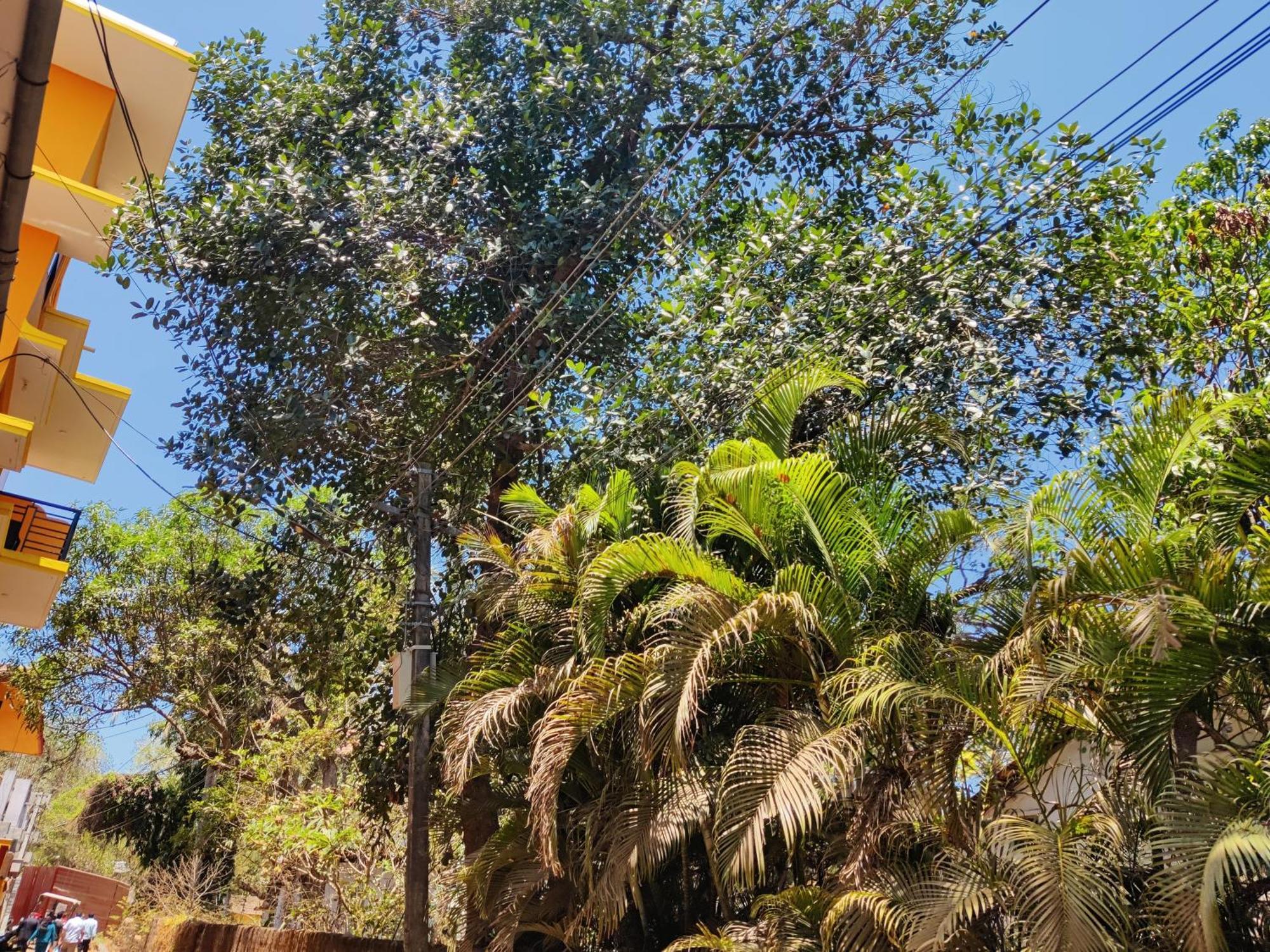 Sai Guru Guest House Anjuna Ngoại thất bức ảnh